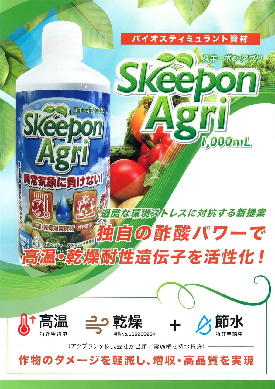 【商品情報】『スキーポンアグリ』をご紹介！