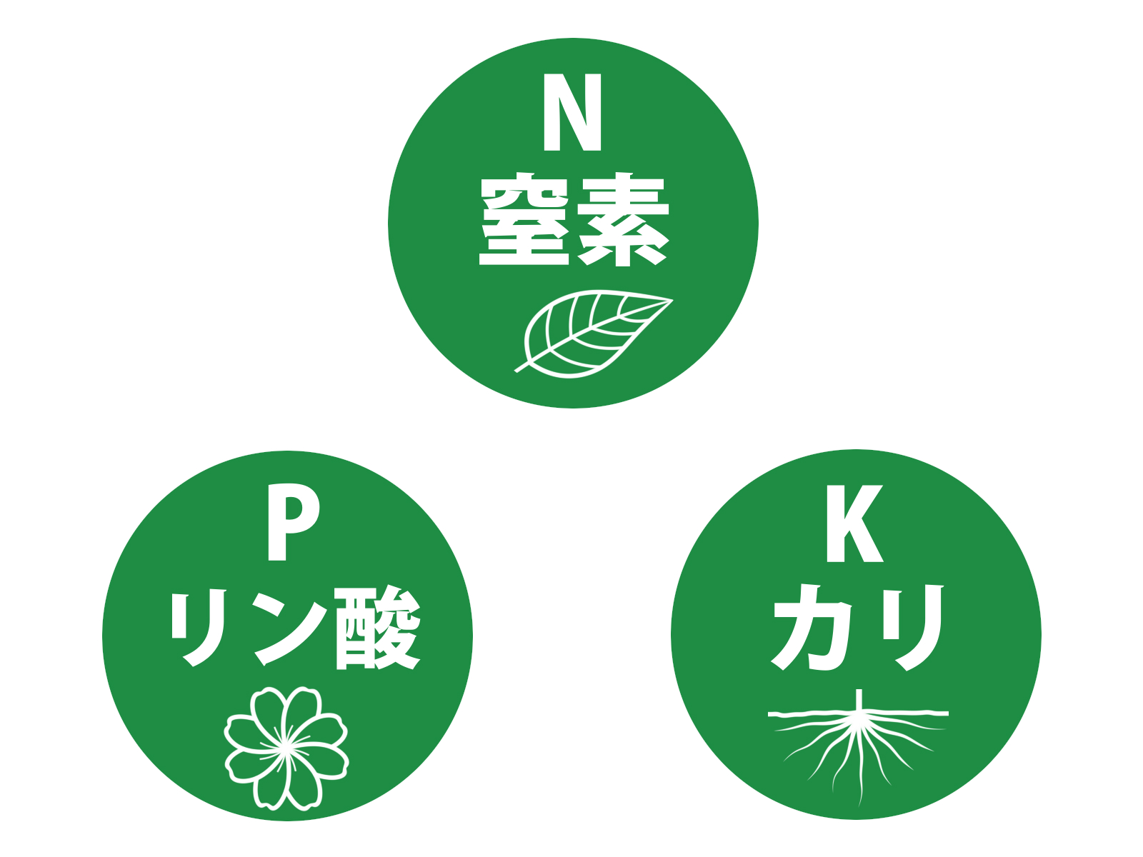 【コラム】土は植物のごはん ～ 窒素・リン酸・カリウムのはなし～
