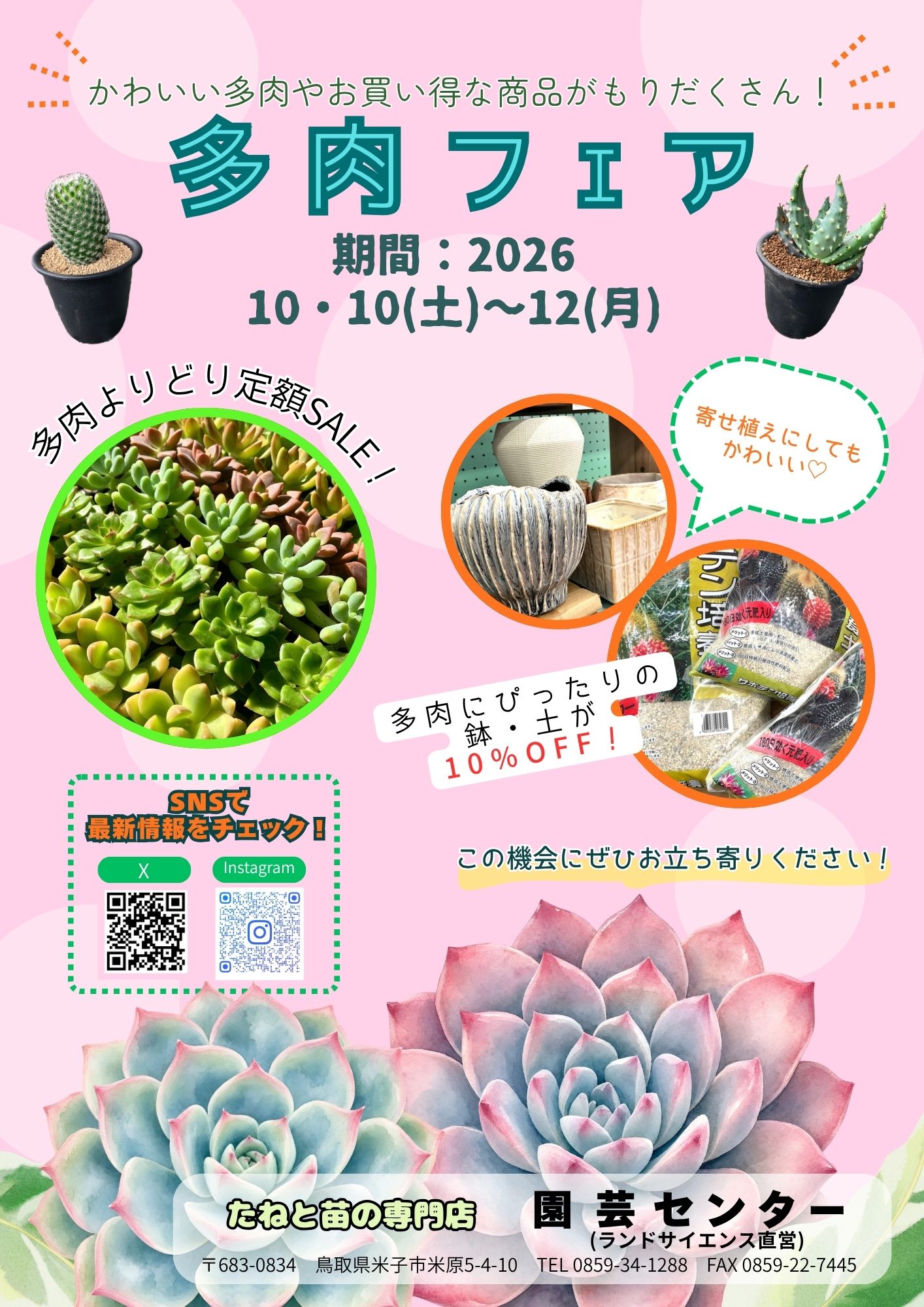 【園芸センター】多肉植物フェア開催！